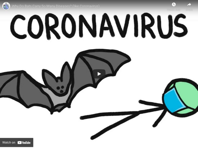 Minute Earth: Why Do Bats Transmit So Many Diseases Like Ebola? Instructional Video Minute Earth: Why Do Bats Transmit So Many Diseases Like Ebola? Instructional Video