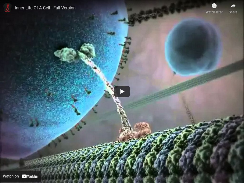 Inner Life of a Cell Instructional Video Inner Life of a Cell Instructional Video