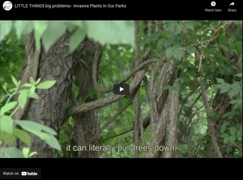 Youtube: Little Things, Big, Problems: Invasive Plants in Our Parks Instructional Video