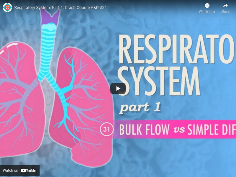 Crash Course A&p #31: Respiratory System, Part 1 Instructional Video