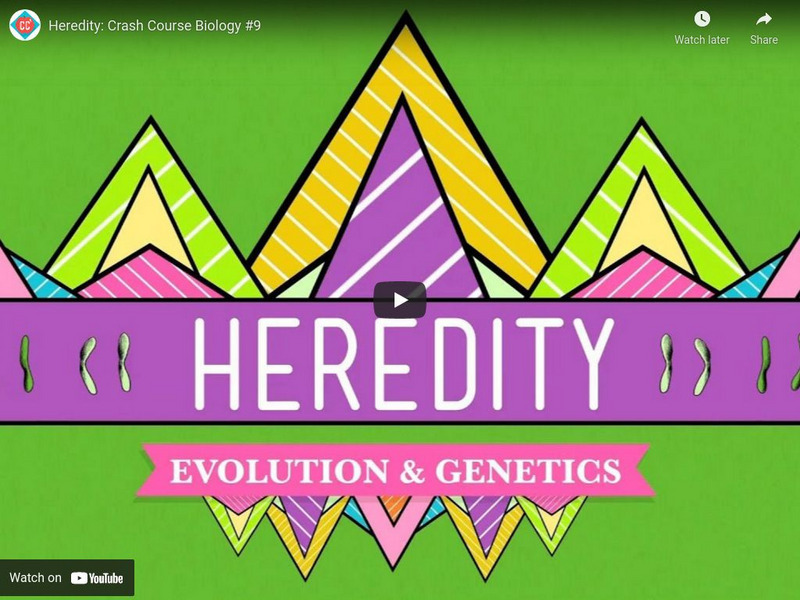 Crash Course Biology #9: Heredity Instructional Video Crash Course Biology #9: Heredity Instructional Video