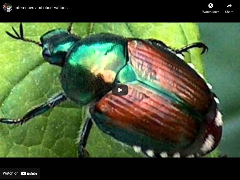 Environmental Systems and Societies: Inferences and Observations Instructional Video Environmental Systems and Societies: Inferences and Observations Instructional Video