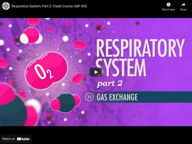 Crash Course A&p #32: Respiratory System, Part 2 Instructional Video