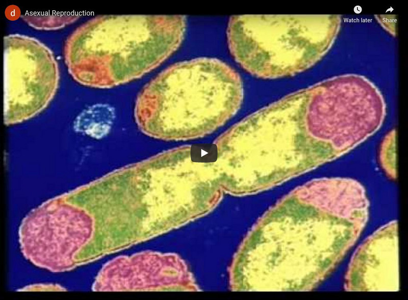 Asexual Reproduction Instructional Video