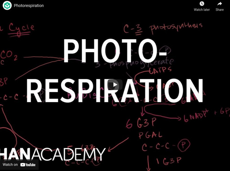 Khan Academy: Biology: Photorespiration Instructional Video Khan Academy: Biology: Photorespiration Instructional Video
