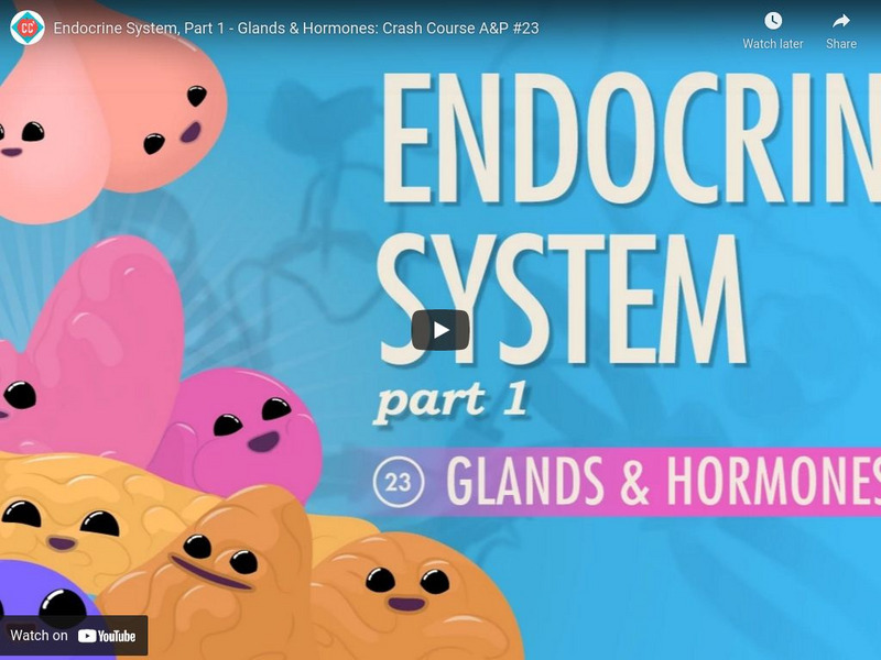 Crash Course A&p #23: Endocrine System, Part 1 Glands and Hormones Instructional Video Crash Course A&p #23: Endocrine System, Part 1 Glands and Hormones Instructional Video