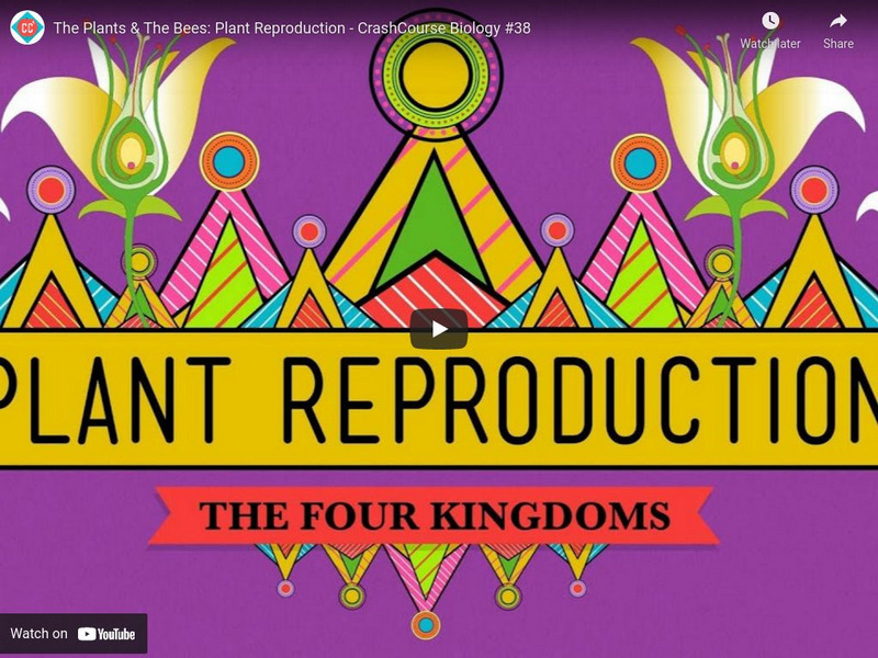 Crash Course Biology #38: The Plants & the Bees Plant Reproduction Instructional Video