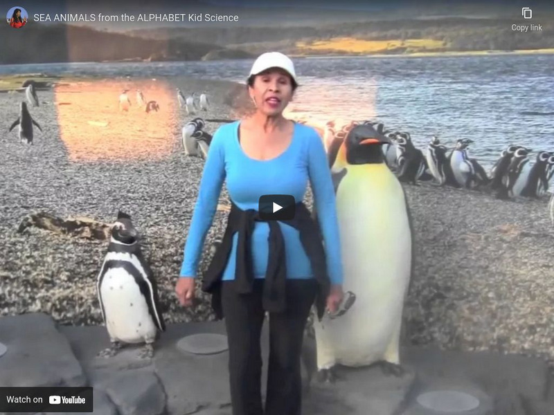 You Tube: Sea Animals Instructional Video You Tube: Sea Animals Instructional Video