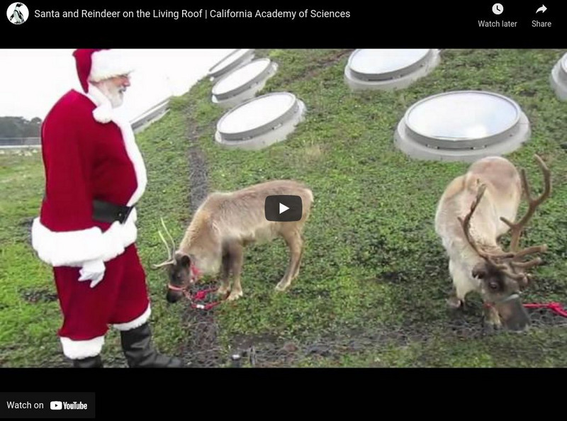 Ca Academy of Sciences: Santa and Reindeer on the Living Roof Instructional Video Ca Academy of Sciences: Santa and Reindeer on the Living Roof Instructional Video
