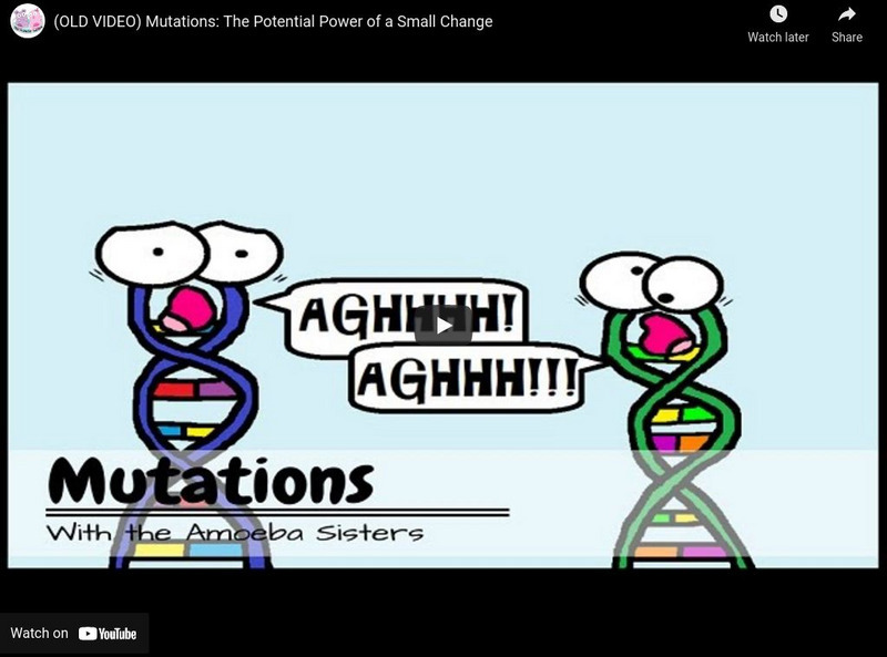 Amoeba Sisters: Mutations Instructional Video Amoeba Sisters: Mutations Instructional Video