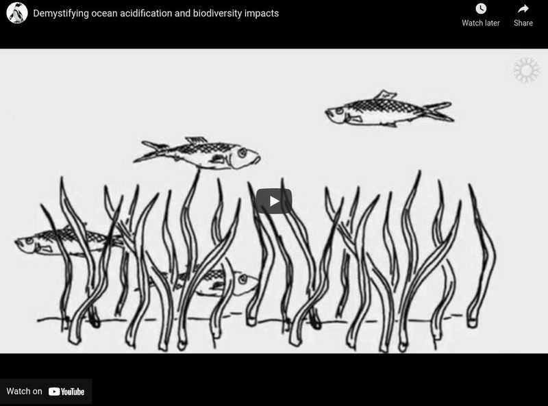 You Tube: California Academy of Sciences: Ocean Acidification & Biodiversity Instructional Video You Tube: California Academy of Sciences: Ocean Acidification & Biodiversity Instructional Video