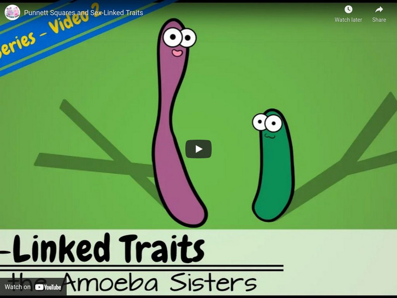Amoeba Sisters: Sex Linked Traits Instructional Video Amoeba Sisters: Sex Linked Traits Instructional Video