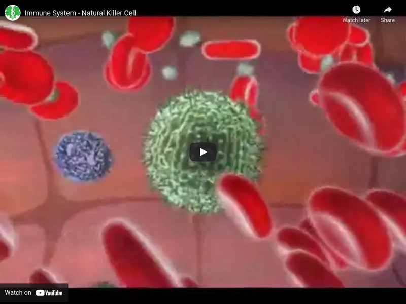 Science With Tyler De Witt: Immune System: Natural Killer Cell Instructional Video