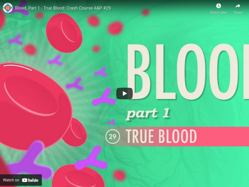 Crash Course A&p #29: Blood, Part 1 True Blood Instructional Video Crash Course A&p #29: Blood, Part 1 True Blood Instructional Video