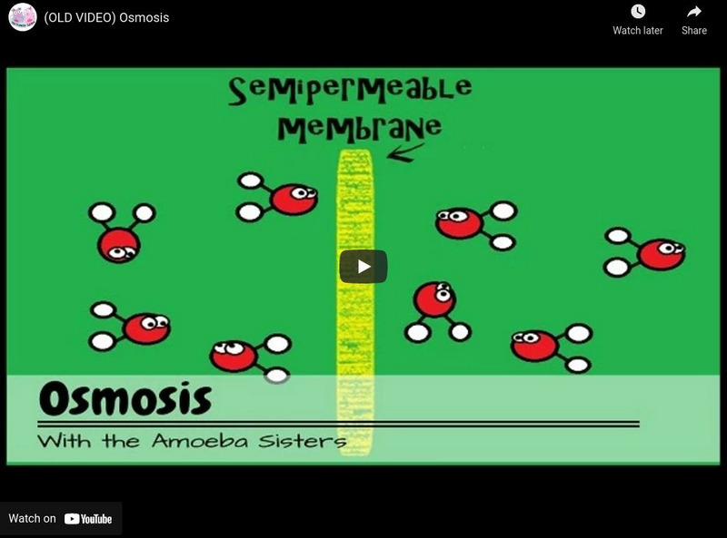 Amoeba Sisters: Osmosis Instructional Video Amoeba Sisters: Osmosis Instructional Video