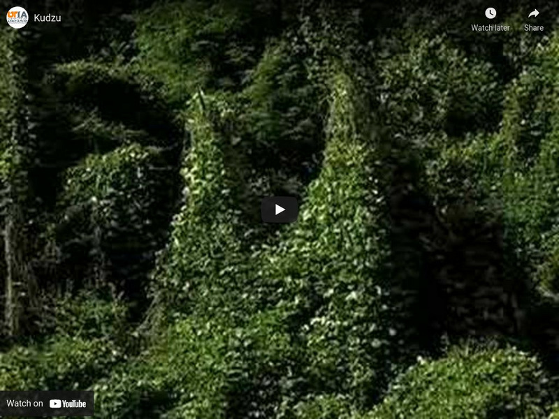 Youtube: Kudzu (Invasive Plant Species) Instructional Video