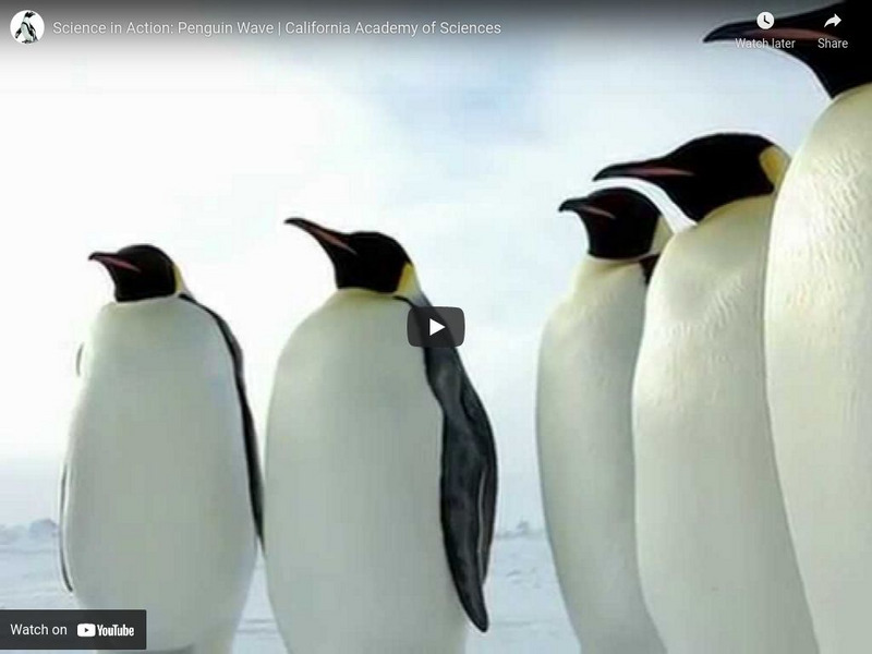 Ca Academy of Sciences: Philippine Biodiversity Expedition: Collecting Coral Instructional Video Ca Academy of Sciences: Philippine Biodiversity Expedition: Collecting Coral Instructional Video