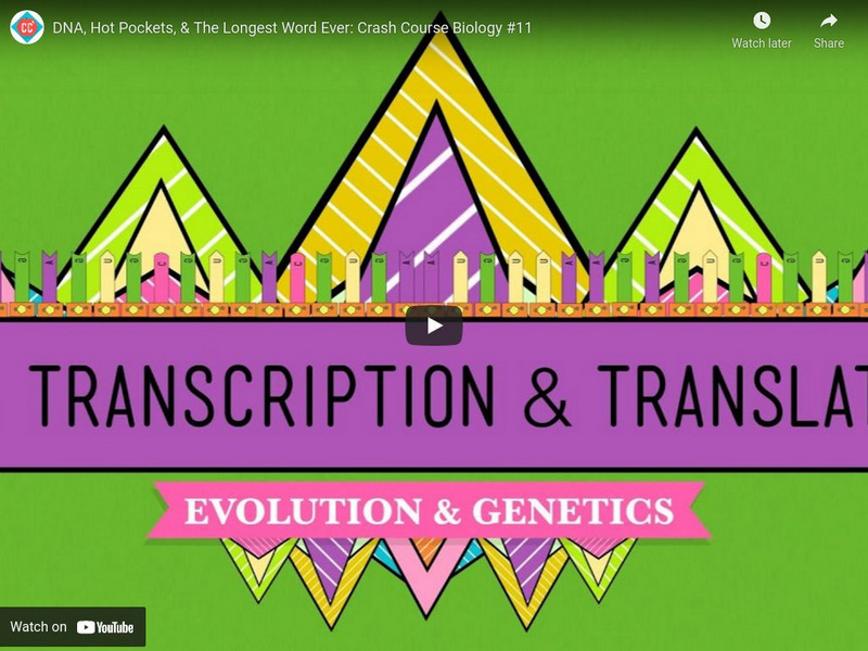 Crash Course Biology #11: Dna, Hot Pockets, & the Longest Word Ever Instructional Video