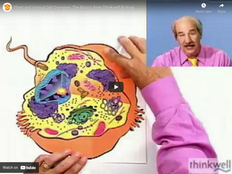 Thinkwell Video Biology: Plant and Animal Cell Overview: The Basics Instructional Video Thinkwell Video Biology: Plant and Animal Cell Overview: The Basics Instructional Video