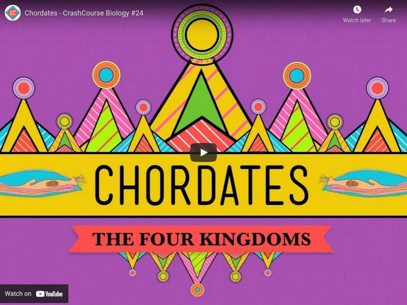 Crash Course Biology #24: Chordates Instructional Video Crash Course Biology #24: Chordates Instructional Video