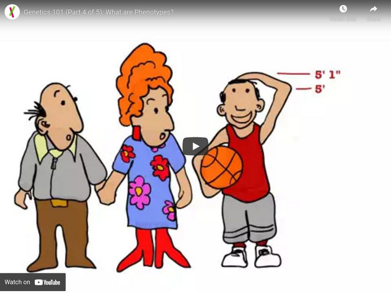 Khan Academy: Heredity and Genetics: Genetics 101 Part 4: What Are Phenotypes? Instructional Video Khan Academy: Heredity and Genetics: Genetics 101 Part 4: What Are Phenotypes? Instructional Video