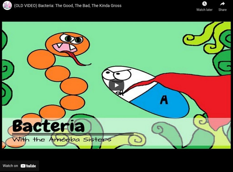 Amoeba Sisters: Bacteria Instructional Video Amoeba Sisters: Bacteria Instructional Video