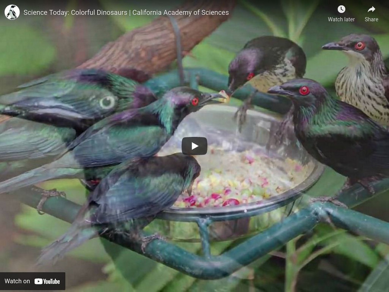 Ca Academy of Sciences: Colorful Dinosaurs? Instructional Video Ca Academy of Sciences: Colorful Dinosaurs? Instructional Video