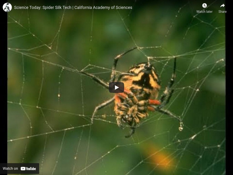 Ca Academy of Sciences: Spider Silk Technology Instructional Video Ca Academy of Sciences: Spider Silk Technology Instructional Video