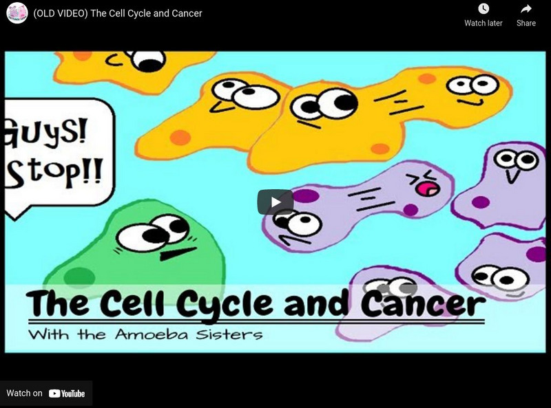 Amoeba Sisters: The Cell Cycle and Cancer Instructional Video Amoeba Sisters: The Cell Cycle and Cancer Instructional Video