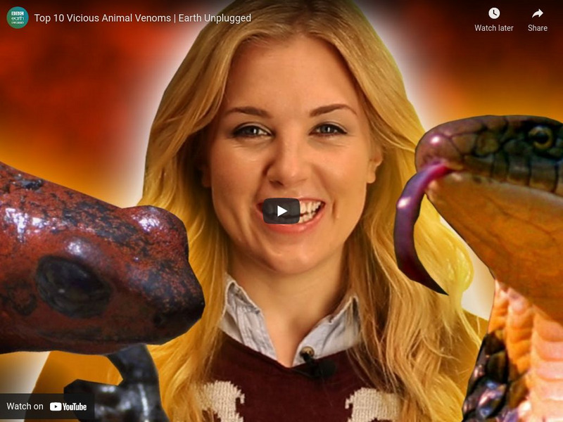 Bbc: Earth Unplugged: Top 10 Vicious Animal Venoms Instructional Video