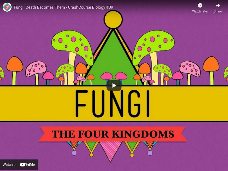 Crash Course Biology #39: Fungi Death Becomes Them Instructional Video