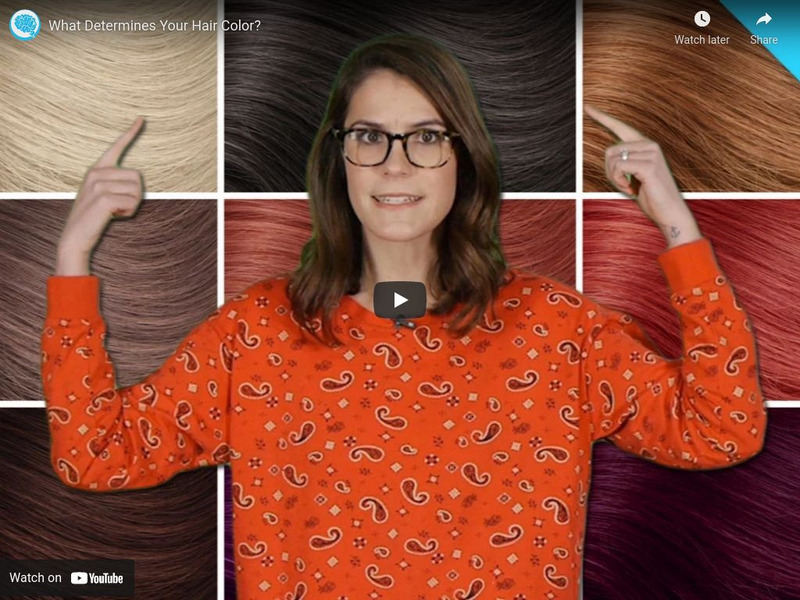 How Stuff Works: What Determines Your Hair Color? Instructional Video How Stuff Works: What Determines Your Hair Color? Instructional Video