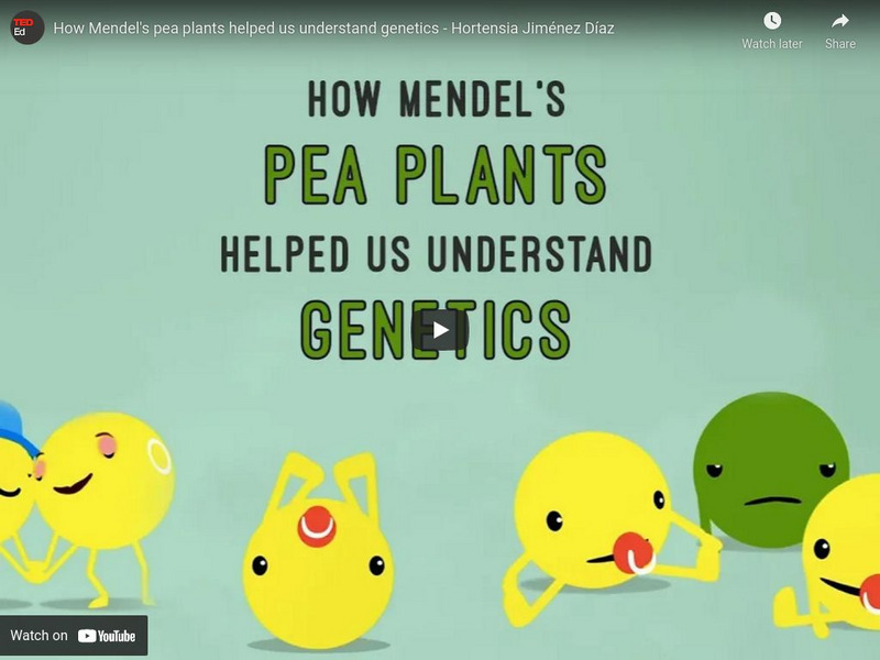 Ted Ed: Hortensia Jimenez Diaz: Mendel's Pea Plants and Genetics Instructional Video Ted Ed: Hortensia Jimenez Diaz: Mendel's Pea Plants and Genetics Instructional Video
