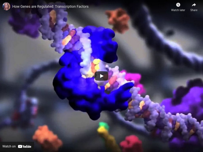 1 Instructional Video