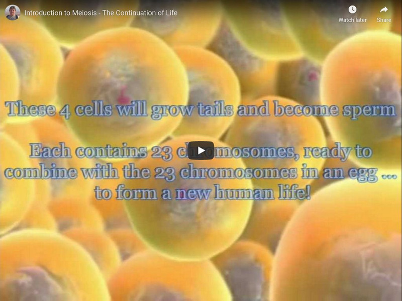 Frank Gregorio: Meiosis the Continuation of Life Instructional Video Frank Gregorio: Meiosis the Continuation of Life Instructional Video