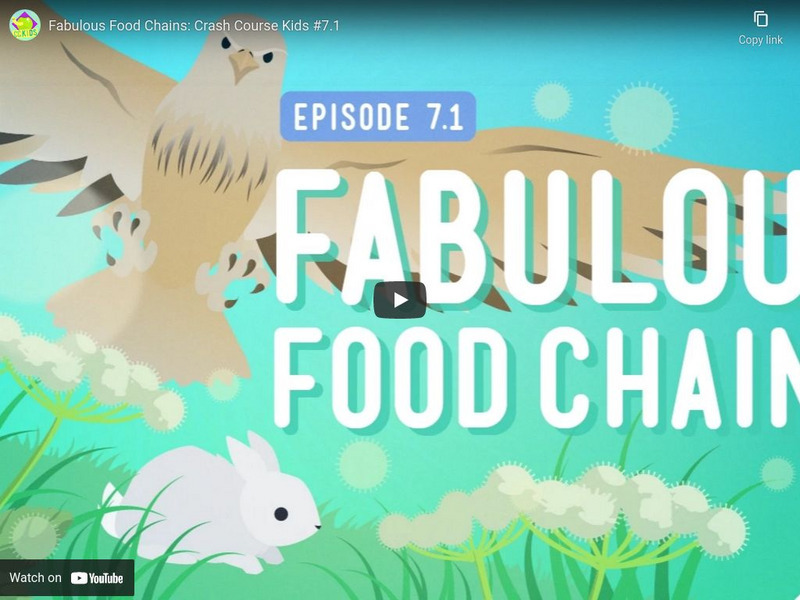 Crash Course Kids 7.1: Fabulous Food Chains Instructional Video Crash Course Kids 7.1: Fabulous Food Chains Instructional Video