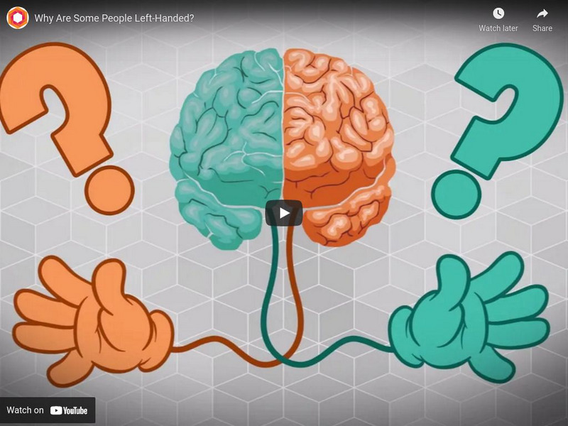 It's Okay to Be Smart: Why Are Some People Left Handed? Instructional Video It's Okay to Be Smart: Why Are Some People Left Handed? Instructional Video