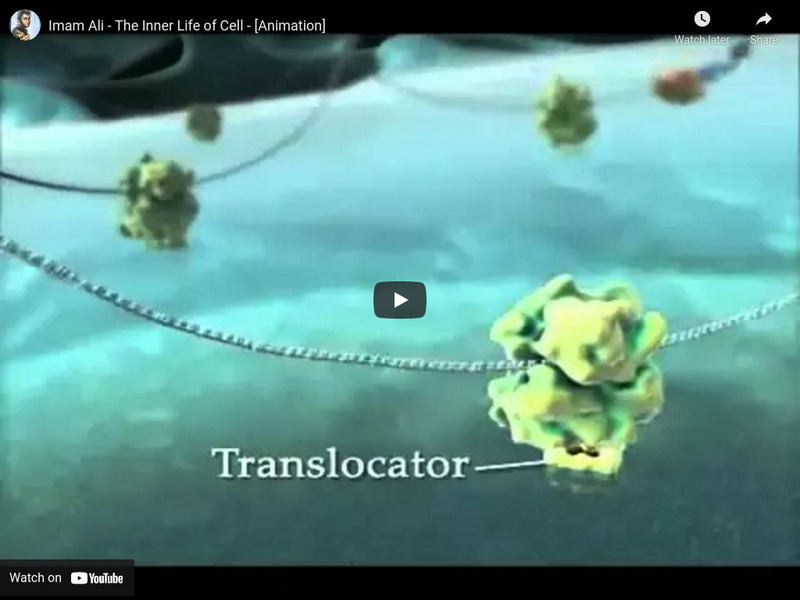 Bio Visions: The Inner Life of a Cell Instructional Video