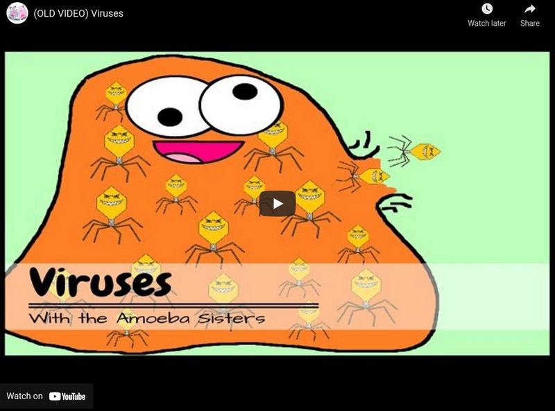 Amoeba Sisters: Viruses Instructional Video Amoeba Sisters: Viruses Instructional Video