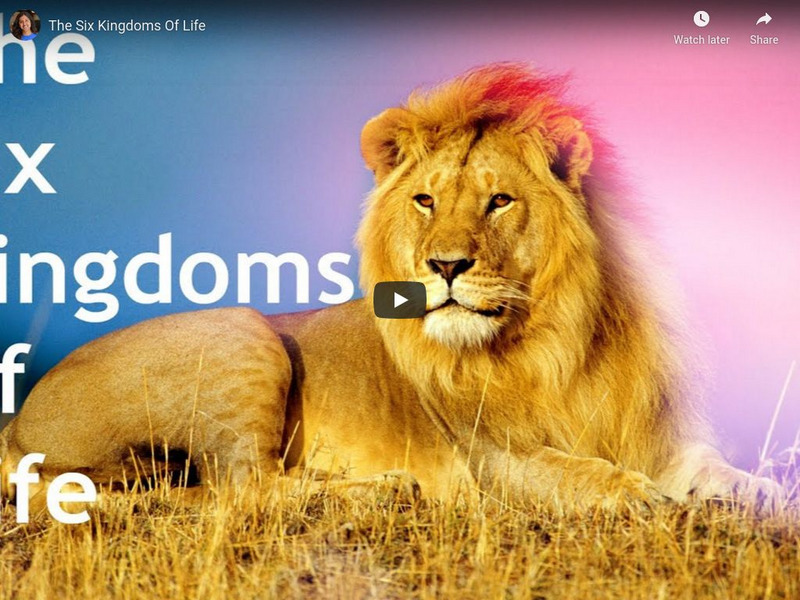 You Tube: Six Kingdoms of Life Instructional Video You Tube: Six Kingdoms of Life Instructional Video