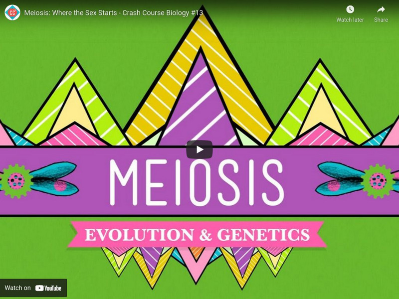Crash Course Biology #13: Meiosis: Where the Sex Starts Instructional Video Crash Course Biology #13: Meiosis: Where the Sex Starts Instructional Video