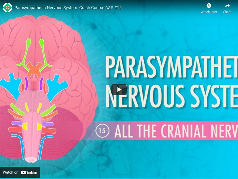 Crash Course A&p #15: Parasympathetic Nervous System Instructional Video Crash Course A&p #15: Parasympathetic Nervous System Instructional Video