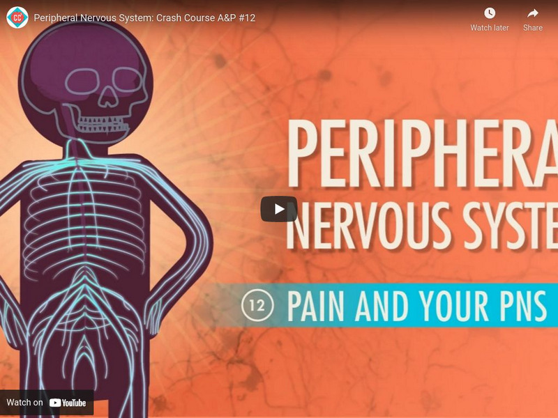 Crash Course A&p #12: Peripheral Nervous System Instructional Video Crash Course A&p #12: Peripheral Nervous System Instructional Video