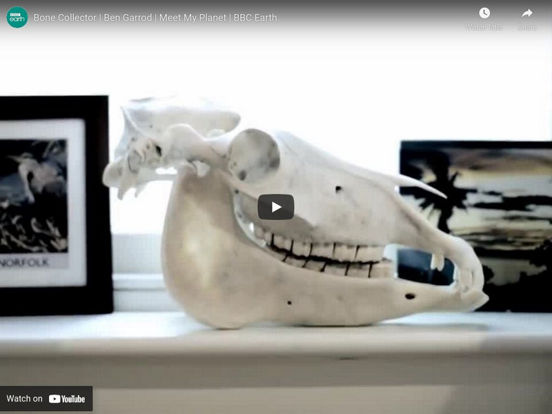 Bbc Earth: Unplugged: Bone Collector Ben Garrod Instructional Video Bbc Earth: Unplugged: Bone Collector Ben Garrod Instructional Video