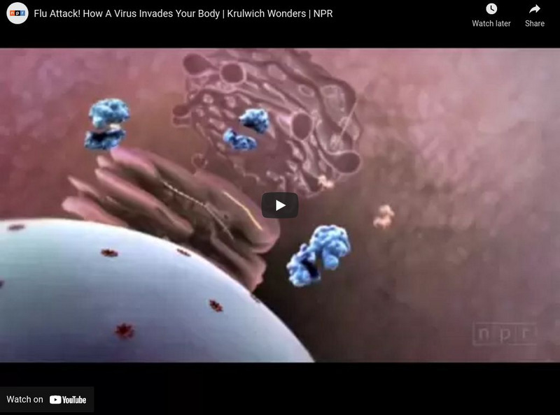 You Tube: Flu Attack! How a Virus Invades Your Body Instructional Video You Tube: Flu Attack! How a Virus Invades Your Body Instructional Video