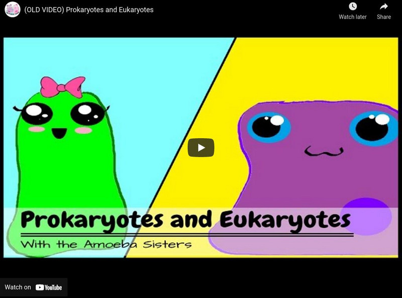 Amoeba Sisters: Prokaryotes and Eukaroytes Instructional Video Amoeba Sisters: Prokaryotes and Eukaroytes Instructional Video