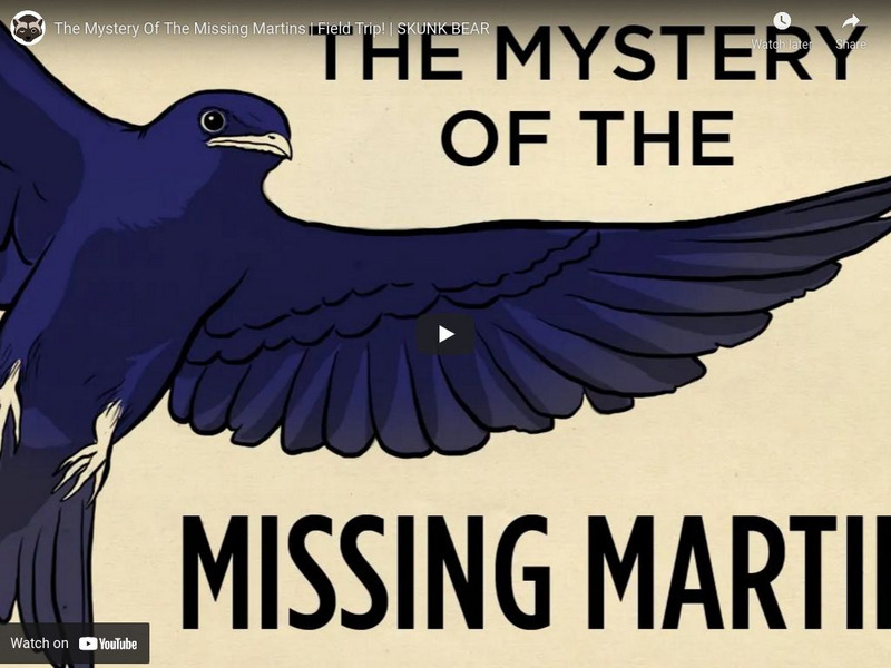 Npr: Skunk Bear: The Mystery of the Missing Martins Instructional Video Npr: Skunk Bear: The Mystery of the Missing Martins Instructional Video