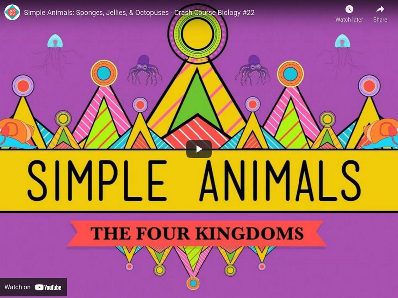 Crash Course Biology #22: Simple Animals Sponges, Jellies & Octopuses Instructional Video Crash Course Biology #22: Simple Animals Sponges, Jellies & Octopuses Instructional Video