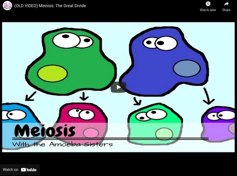 Amoeba Sisters: Meiosis Instructional Video Amoeba Sisters: Meiosis Instructional Video