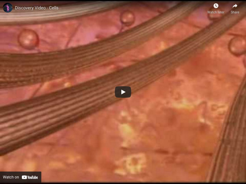 Discovery Channel: Discovery Video on Cell Biology Instructional Video Discovery Channel: Discovery Video on Cell Biology Instructional Video